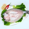 Filete de Lubina Fresco Congelado Vivo Pez de Profundidad Bai Jiao Lubina de Siete Estrellas Mariscos Pescado a la Parrilla Semiacabado Comercial