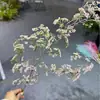 Ramo de Espuma de Lavanda Artificial de 7 Ramas para Boda y Decoración del Hogar, Follaje Artificial de Plástico para Proyectos, Flores Transfronterizas