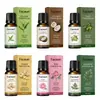 Óleo Essencial de Massagem FACNURT Fórmula Vegetal Quente e Suave Fácil de Espalhar Corpo Inteiro Gua Sha e Tuina Acalma a Pele