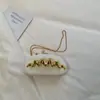 Bolsa de Acrílico de Alto Acabamento para Mulheres 2026 Novo Modelo Bolsa para o Dia a Dia e Noite Design de Nicho Moderno Bolsa de Ombro com Corrente
