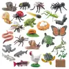 Juguete modelo de animal pequeño simulación ciclo de vida crecimiento rana tortuga pollo Montessori material didáctico preescolar venta al por mayor