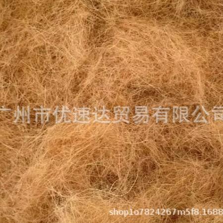 2025-07-25 16:55:55.jpg