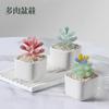Suculentas simuladas de esmalte de color transfronterizo en maceta, pequeños adornos, escritorio de oficina, plantas verdes, flores, artesanías de vidrio, regalos