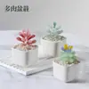 Zibo Esmalte de Color Simulación Plantas Verdes Carnosas Flores Artesanías de Vidrio Regalo Planta en Maceta Adornos Pequeños Escritorio de Oficina