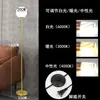 Lámpara de pie estilo nórdico con control remoto, adecuada para salas de estar, diseño minimalista y moderno, funciones inteligentes, ideal para dormitorios, lámpara de mesa de noche de lujo ligero, diseño creativo