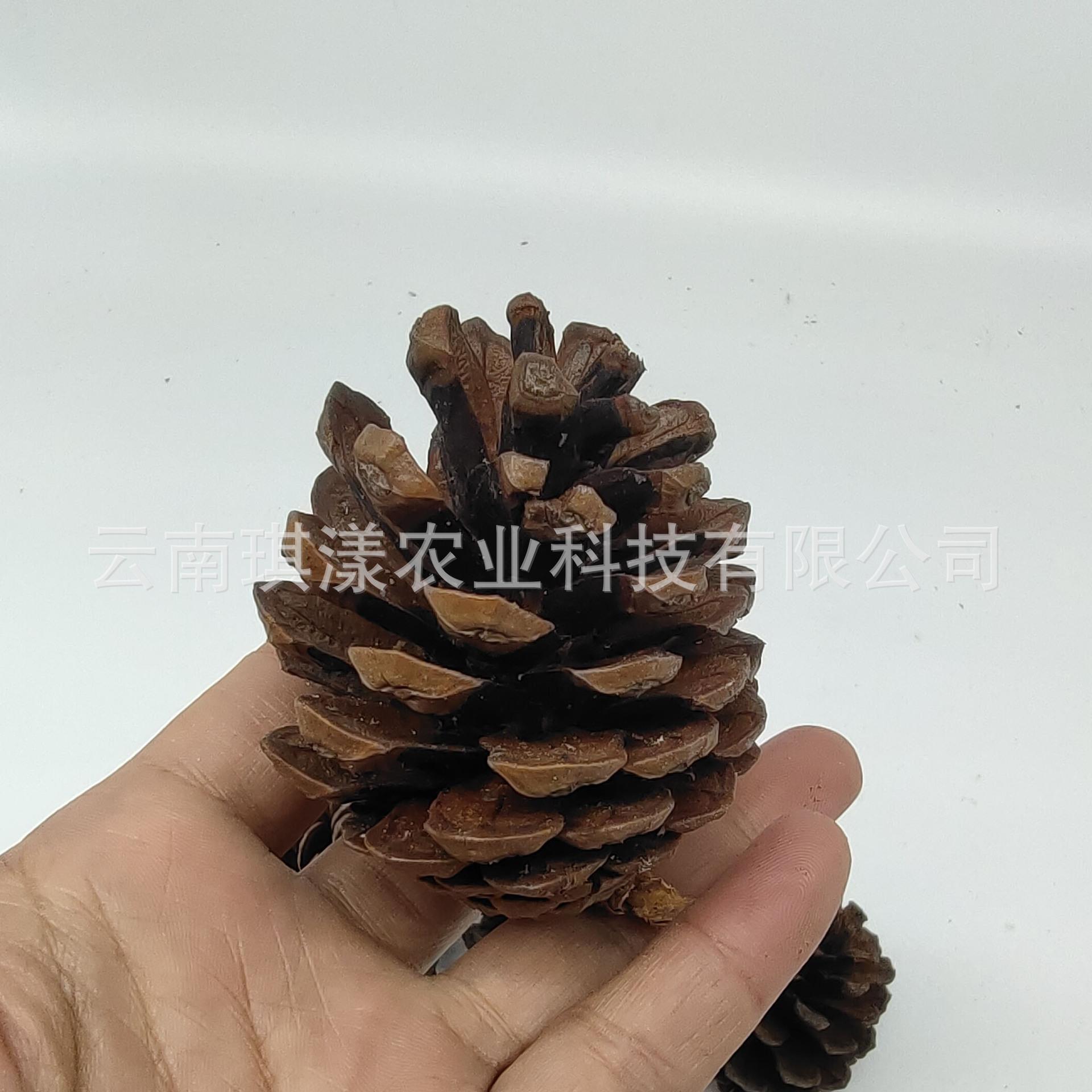 微信图片_20201016103550.jpg