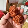 Venta al por mayor de fábrica Laishui Wen juega patrón de nogal Kirin sombrero oficial lanzamiento alto Wang Yong máquina de cepillo para sombrero oficial cuatro edificios agricultores nucleares venta al por mayor