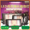 Se Venden 50 Cuentas Grandes Suplemento de Calcio para Plantas Iluminación Plántula Tablero Cuántico Luz de Crecimiento Desarrollo Luz LED Relleno para Plantas