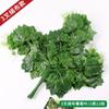 Decoración de hojas artificiales de baniano, hojas falsas, ramas de hojas de arce rojo, hojas de ginkgo, plantas verdes de plástico, hojas grandes verdes, hojas de olmo.