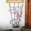 Estante para Plantar Abanico de Flores Zhixiao Soporte para Trepadora Rosa Trepadora Jazmín Molino de Viento Soporte para Trepadora Estante para Macetas Estante Cubierto de Plástico