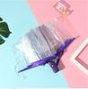 Guarda-chuva Automático Margarida Pequena Guarda-chuva Transparente Guarda-chuva Casual de PVC Estilo Japonês Deusa Guarda-chuva Dobrável para Estudante Pode Adicionar Logo