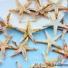 Cruz Acrílico Simulação Série Oceano Estrela-do-mar Concha Conchas diy Pulseira Pingente Brincos Acessórios de Joia