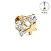 Brincos de Liga de Titânio F136, Brincos Longos Finamente Esculpidos para Cartilagem Auricular, Piercings para Lábio com Zircônia, Joias para Piercing Corporal de Titânio G23