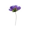 Flor de Mora Prensada Lateralmente con Ramas, Cosmos, Espécimen de Planta Embosado de Flor Seca, Espécimen de Flor Real, Marcador de Funda para Teléfono Móvil Embosada