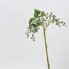 Colgante de planta Fruto de aliso Pegamento suave Fruto de frijol del amor Colgante de pared Decoración de paisajismo Accesorios para arreglos florales Seda suave