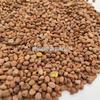 Semillas de Rábano Salteadas 1000g Huamei Materiales Medicinales Chinos Venta al por Mayor Suministro Listo Semillas de Rábano Productos Nuevos Gran Cantidad Tratamiento Preferencial