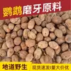 Accesorios para juguetes de pájaros de madera troquelada de mango, materiales, frutas, plantas, decoraciones de frutas secas, decoraciones naturales de flores secas, fotografía al por mayor