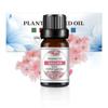 Aceite Esencial de Aromaterapia Soluble en Agua de Envío Directo de Una Pieza 10 ml Fragancia Fresca Difusor Humidificador Fragancia Duradera Artículo Caliente Transfronterizo