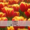 Bulbos de Tulipa para Venda no Atacado, Variedade de Pétala Simples, 1 Bulbo por Pacote, Bulbos de 5 Graus, Plantas de Flores de Interior em Vasos, Floresce o Ano Todo, Fácil de Cuidar