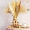 Amazon pampas capim pequeno junco coelho cauda capim pó pequeno pampas decoração para casa mix cross-border buquê de flores secas