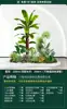 Set de Paisajismo Simulado para Exhibidores de Ventanas Interiores, Decoración de Escaleras, Paisaje de Plantas Verdes Simuladas, Arreglo de Jardín, Adornos de Decoración de Plantas en Maceta