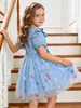 Vestido para niña, nuevo y elegante vestido de princesa de malla colorida con mariposas, vestido abullonado para niños, vestido de moda para niña
