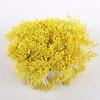 Hilo de Algodón Perlado de 1 mm tipo Cerilla Estambres para Flores Artificiales de Yeso Decoración de Flores Artificiales para Manualidades (DIY) Venta al por Mayor en Stock