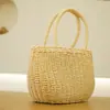 Bolso de Mano Tejido Estilo Bosque Simple Nuevo Primavera Bolso de Paja Cierre de Cordón Lindo Bolso de Playa