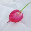 Mini sensação Calla Lotus falso buquê simulação flor comércio exterior transfronteiriço decoração de casa fotografia adereços atacado fabricantes
