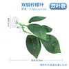 Pez betta descansando y escondiéndose hoja, hoja de loto para desove, hoja de planta acuática artificial, cama para dormir, paisajismo de acuario, hoja de loto doble para pez betta
