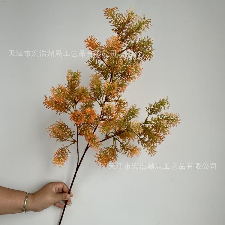 微信图片_20230904085313_副本