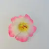 Cabeças de Flores de Hibisco Artificiais Mais Vendidas no Exterior de Fabricantes, Flores Havaianas em Gradiente Multicor, Adereços para Fotos de Férias na Praia, Acessórios de Cabeça com Flores