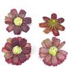 Cabeças de Flores Margaridas Artificiais Estilo Vintage, Materiais para DIY de Guirlanda com Tema Floresta, Caixa de Presente com Acessórios de Cabelo Estilo Antigo, Flores Decorativas para Lembrancinhas