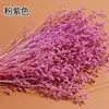 [Flor seca branqueada amante grama] amante grama flor seca tingida amante grama dançando grama cor clara rosa amante grama