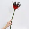 Árvore da Vida Artificial Grande Flor Coroa Pvc Borracha Macia Ave do Paraíso Hotel Sala de Estar Arranjo de Flores de Mesa Decoração Produto Novo Transfronteiriço