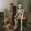 Nuevo Esqueleto de Halloween 90cm Cuerpo Humano Artificial Esqueleto de Plástico Decoración Casa Embrujada Escena Festiva Layout