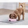 Tapete de Alimentação de Silicone para Pets, Fácil de Limpar, Impermeável, à Prova de Vazamentos, Antiderramamento, Múltiplas Especificações Tapete de Alimentação para Gatos e Cachorros