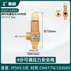 Calentador de Agua Eléctrico Haier Midea Tubería de Agua Válvula de Alivio de Presión Automática Válvula de Seguridad Caldera Tanque de Gas Compresor de Aire Vapor de Escape