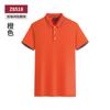 Polo de Verão Camiseta de Manga Curta Algodão Penteado Dupla Pontada Camiseta Inter-color Gola Lapela Bordada Roupa de Trabalho Estamparia e Impressão
