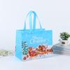 Bolsa No Tejida Recubierta Transfronteriza Bolso de Mano Navideño Embalaje de Ropa Personalizado Bolso de Compras Plegable Estéreo
