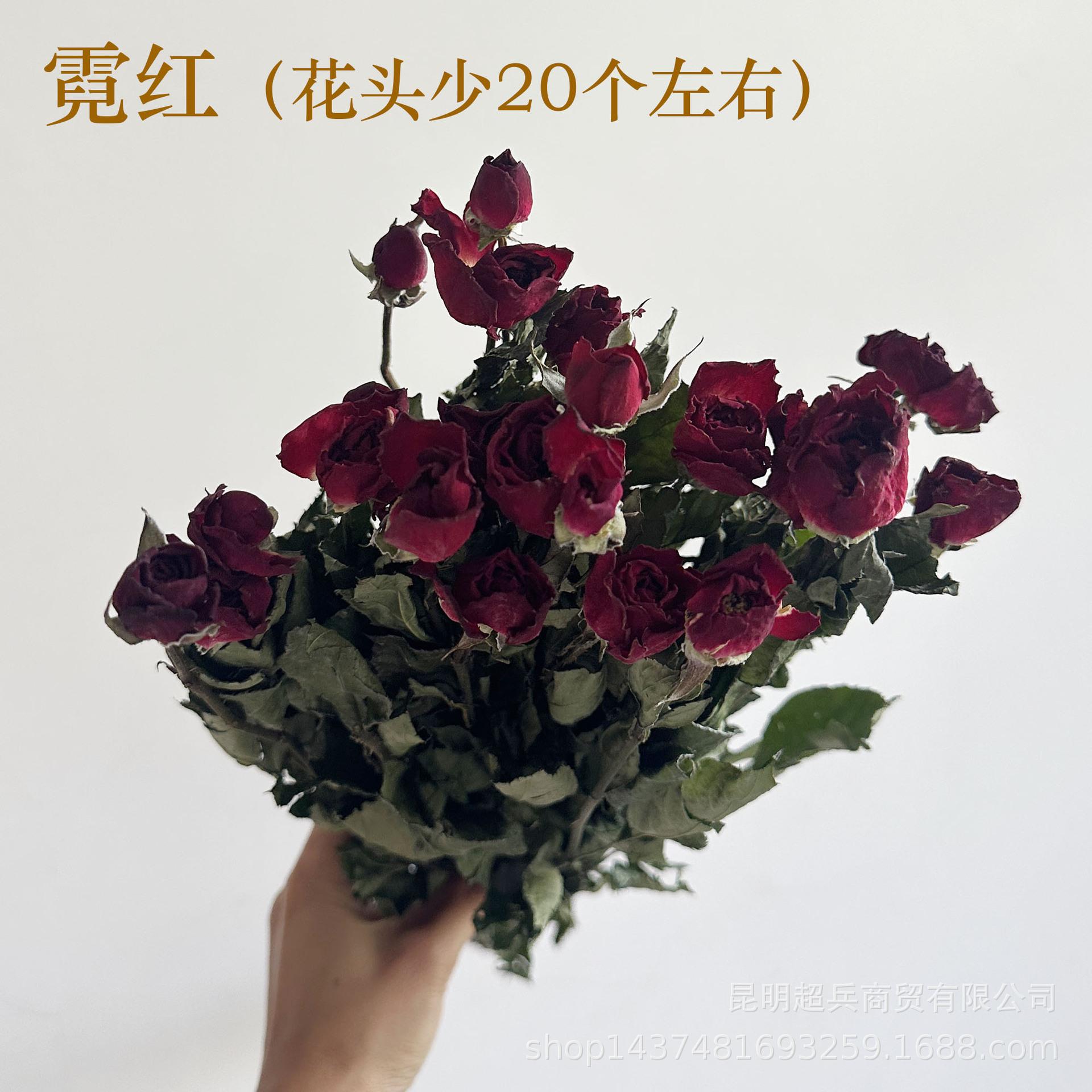 微信图片_20240906111256.jpg