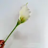 Sensación avanzada de hidratación flor de cala flor artificial de tamaño mediano decoración de paisajismo de auditorio de bodas accesorios de fotografía