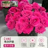 Flores Que Florescem por Muito Tempo e São Fáceis de Cultivar, Lírios, Sino dos Ventos, Flores de Corte Frescas, Plantas Hidropônicas de Cabelo Reto de Yunnan, Rosas, Arranjos de Flores de Interior