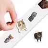 500 Pegatinas, 14 Hojas de Pegatinas Reutilizables en Rollo de Memes de Gatos para Decorar Escritorios, Fundas de Teléfono, Botellas de Agua, Agendas, Venta al por Mayor de Pegatinas Transfronterizas