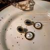 Pendientes de perlas estilo Palacio vintage para mujer, moda coreana estilo ins, sensación de alta gama, pendientes antiguos, pin de plata al por mayor