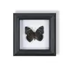 Marco de Fotos de Espécimen de Mariposa Pintura Decorativa de Madera Adorno Retro Europeo Soporte de Exhibición Muebles DIY Regalo de Cumpleaños Regalo