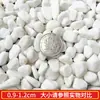 Piedras Blancas para Paisajismo de Patios Grandes y Jardines, Guijarros Blancos de Piedra, Piedras Pequeñas, 50 Kg, Piedras para Paisajismo