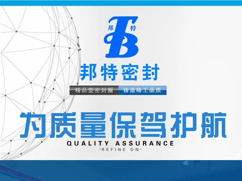 B002--生产批发耐油防水塑料氟橡胶V型圈-防漏油耐介质硅