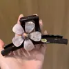 Pinza para el Cabello Dopamina Primavera y Verano Pinza Grande de Tiburón de Dibujos Animados para Cabello Grueso, Pasador de Gama Alta, Pinza para el Cabello Estilo Coreano