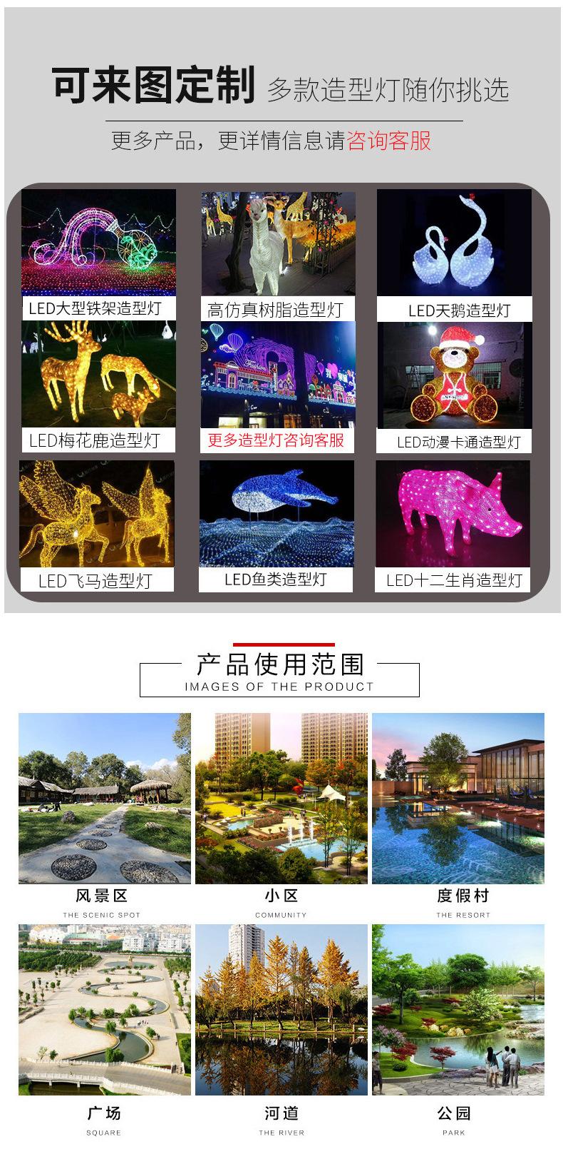 芦苇_11